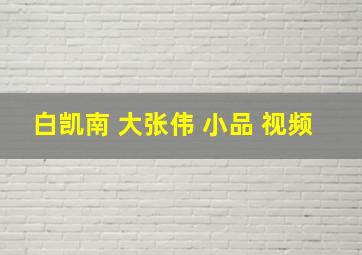 白凯南 大张伟 小品 视频